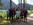 Gruppenfoto mit sieben Personen vor einem See auf einem Waldweg.